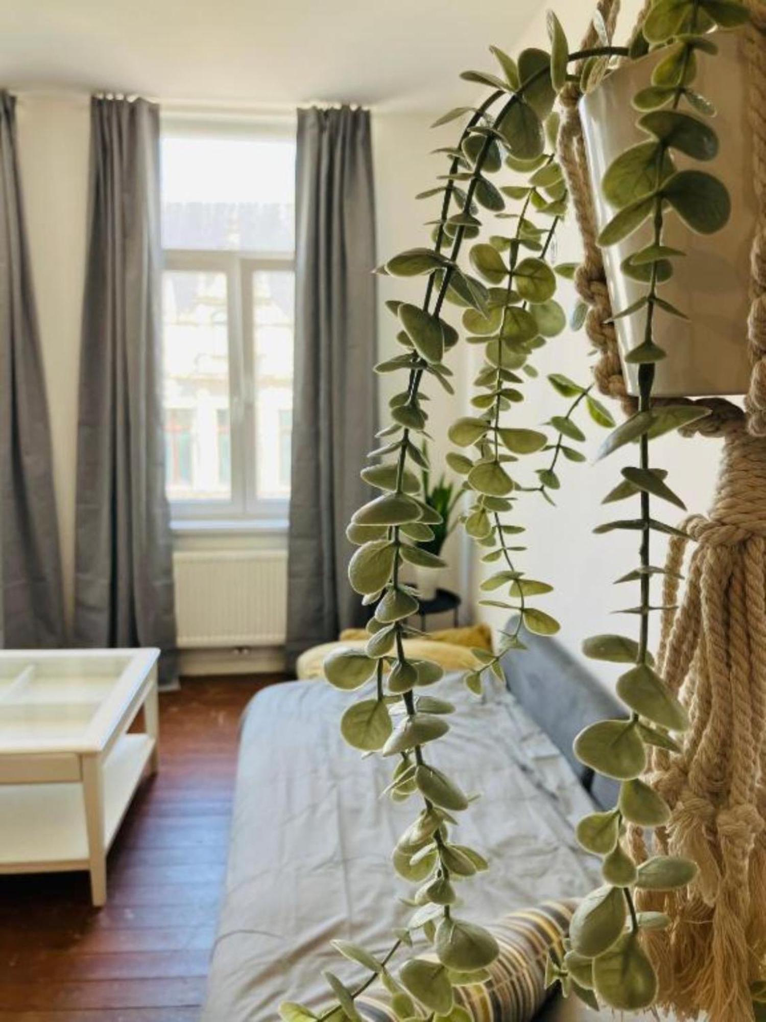 Bnb Suikernest Antwerp Exterior photo